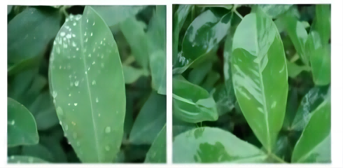 Поговорим о модифицированном полиэфиром гептаметилтрисилоксане (HC-YM9362): структурные характеристики, процесс синтеза и инновационные области применения