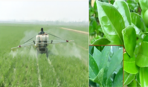 Диметилдихлорсилан (HC-CM2268): Краеугольный камень тонкой химии и широкого спектра применений